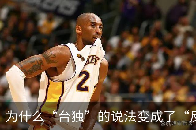 为什么“台独”的说法变成了“反统一”岛内政治界也开始沉默了呢