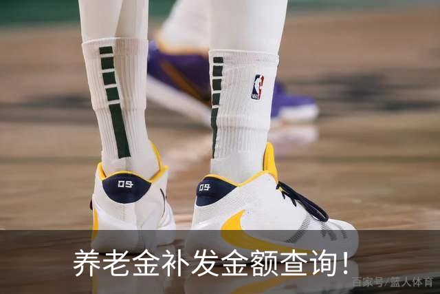 养老金补发金额查询！
