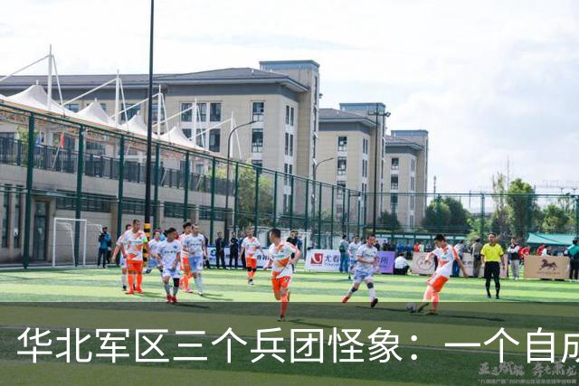 华北军区三个兵团怪象：一个自成一体，另两个大战时不受军区指挥