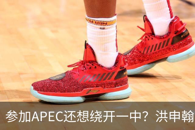 参加APEC还想绕开一中？洪申翰准备赴南京，大陆不给“台独”开门