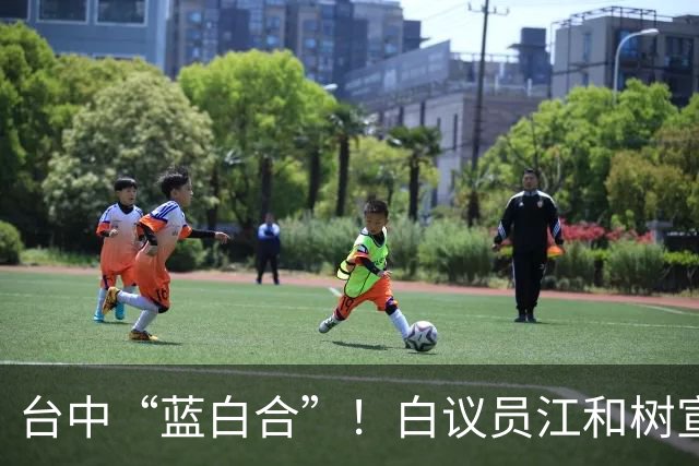 台中“蓝白合”！白议员江和树宣布卢秀燕将担任竞选总部荣誉主委