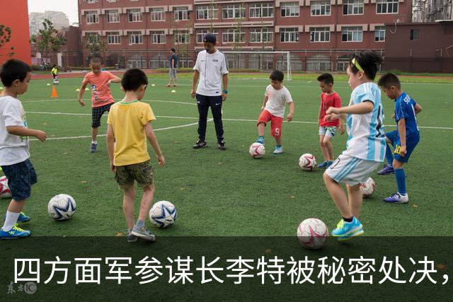 四方面军参谋长李特被秘密处决，徐向前晚年吐露真相：他是个好人