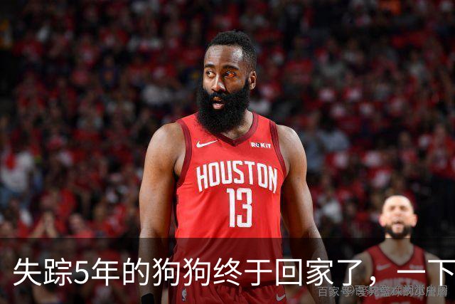 失踪5年的狗狗终于回家了，一下飞机就认出家人，这一幕真让人绷不住了！