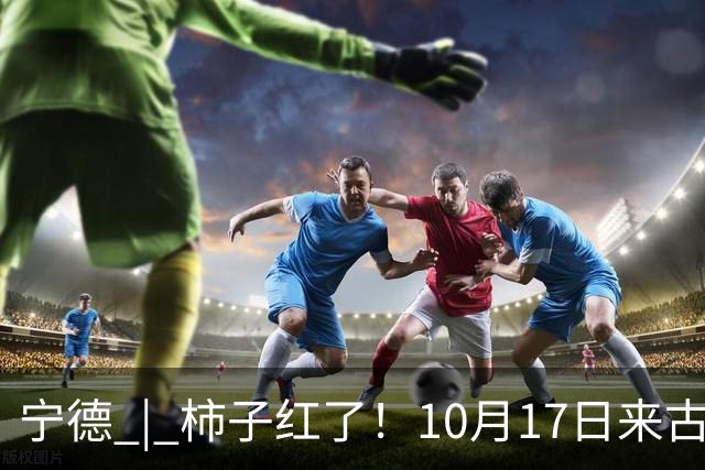 宁德 | 柿子红了！10月17日来古田利洋！拍照、逛吃、宋韵游园一站式拉满！