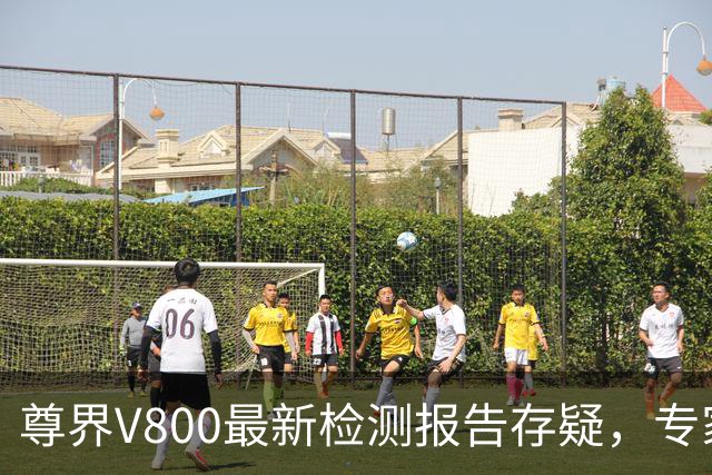 尊界V800最新检测报告存疑，专家：需完整报告厘清差异