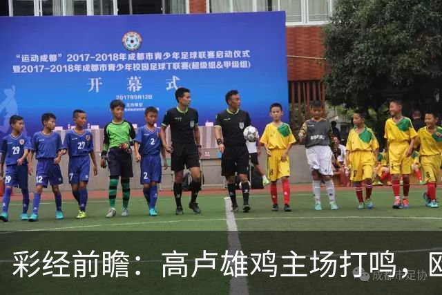 彩经前瞻：高卢雄鸡主场打鸣，欧洲红魔难造次！看好法国主胜
