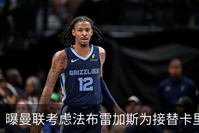 曝曼联考虑法布雷加斯为接替卡里克的人选