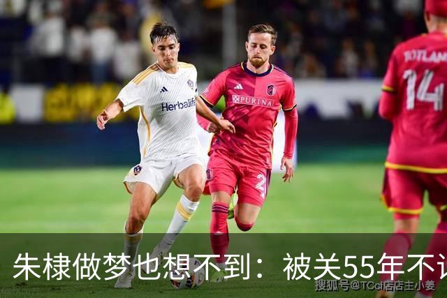 朱棣做梦也想不到：被关55年不识牛马的建文皇孙，留下最狠的底牌