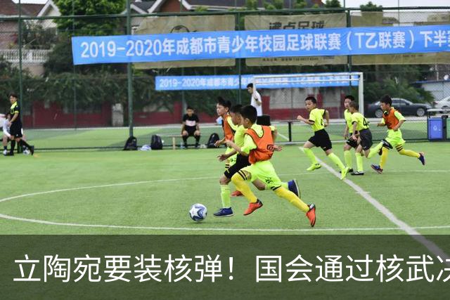 立陶宛要装核弹！国会通过核武决议，俄方一句话让人后背发凉