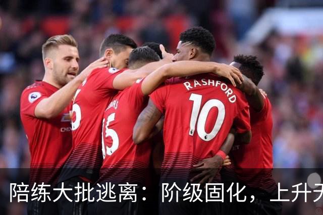 陪练大批逃离：阶级固化，上升无望，中国乒乓球的死局