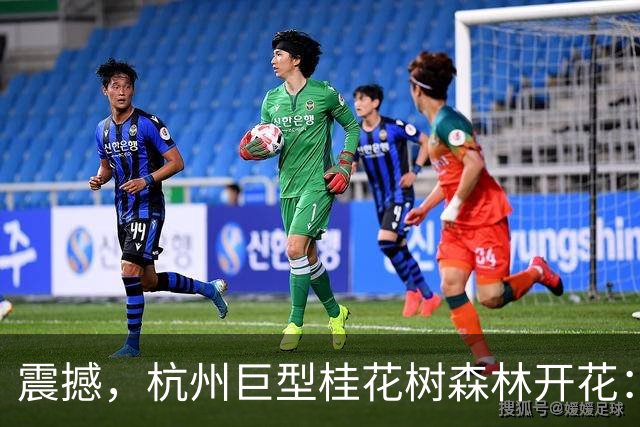 震撼，杭州巨型桂花树森林开花：8000多株美似童话