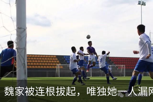 魏家被连根拔起，唯独她一人漏网，缅北女魔头魏榕究竟藏身何地？
