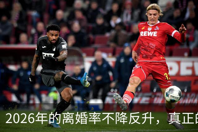 2026年的离婚率不降反升，真正的罪魁祸首不是没钱，而是能力破产